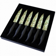 Coffret six couteaux à steak Pradel